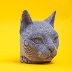 CARTONIC® - Modèle Chat