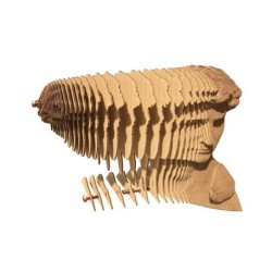 CARTONIC® - Modèle David