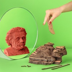 CARTONIC® - Modèle Einstein