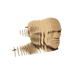 CARTONIC® - Modèle LeBron James