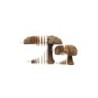 CARTONIC® - Modèle Champignons