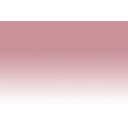 Chameleon Pens PK2 – Dusty Rose