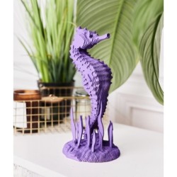 CARTONIC® - Modèle Hippocampe