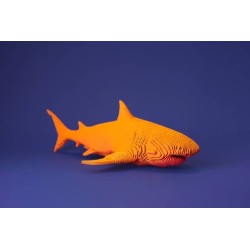 CARTONIC® - Modèle Requin