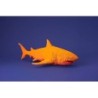 CARTONIC® - Modèle Requin