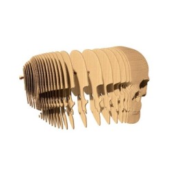 CARTONIC® - Modèle Crâne