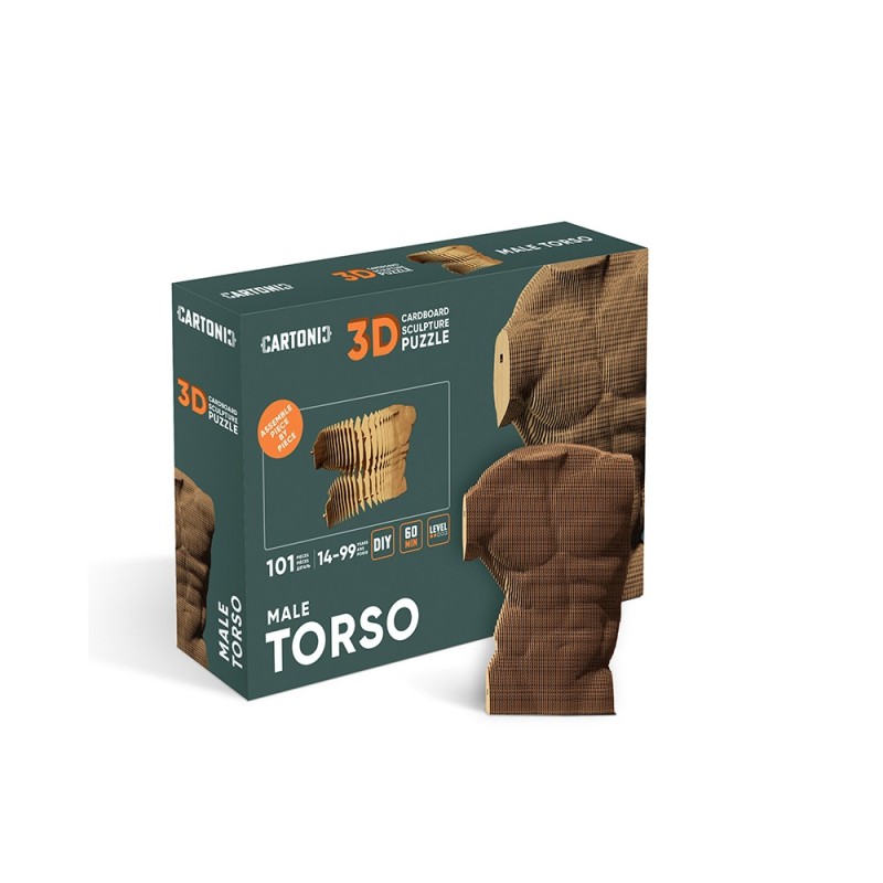 CARTONIC® - Modèle Torse masculin