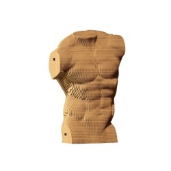 CARTONIC® - Modèle Torse masculin