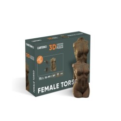 CARTONIC® - Modèle Torse...