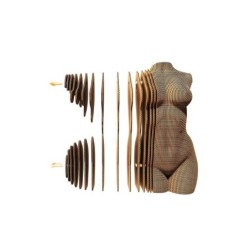 CARTONIC® - Modèle Torse féminin