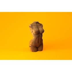 CARTONIC® - Modèle Torse féminin