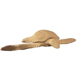 CARTONIC® - Modèle Tortue