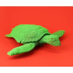 CARTONIC® - Modèle Tortue