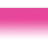 Chameleon Pens PK5 – Fuschia