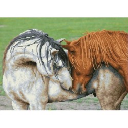Kit DIAMOND DOTZ® Chevaux...