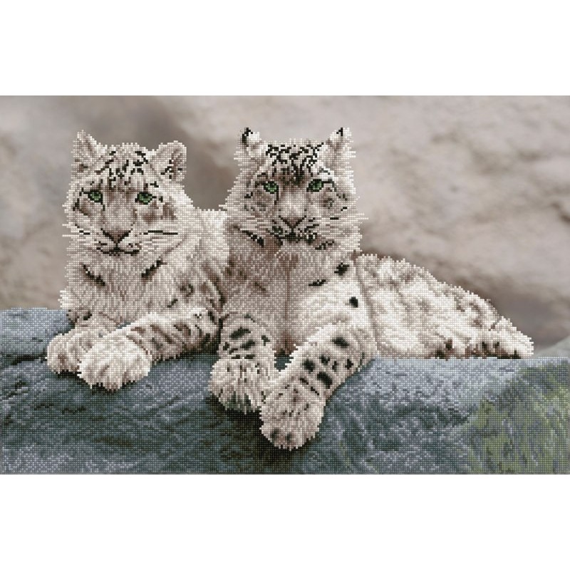 Kit DIAMOND DOTZ® Léopards des neiges, Inde