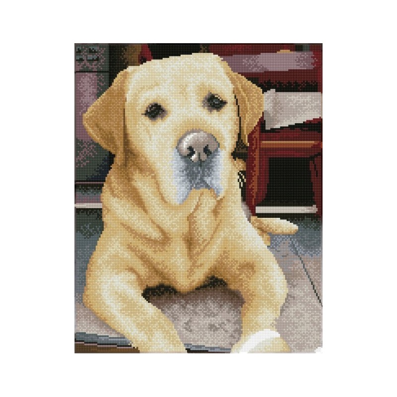 DIAMOND DOTZ® Carré Portrait de labrador