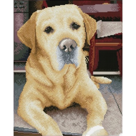 DIAMOND DOTZ® Carré Portrait de labrador