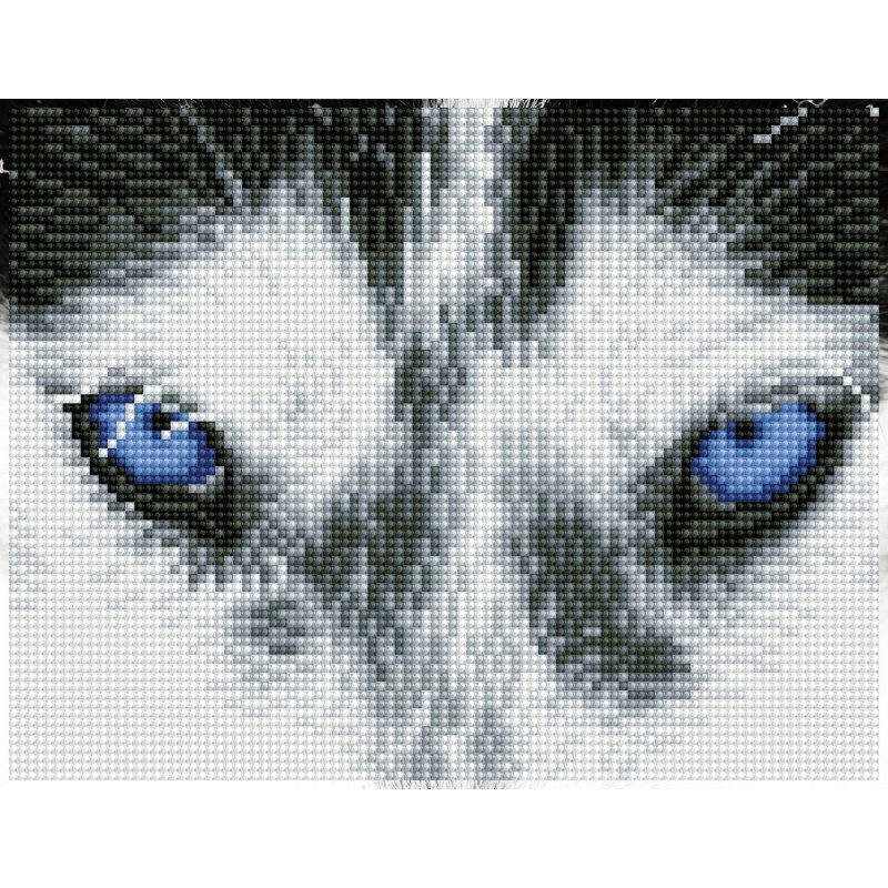 DIAMOND DOTZ® Carré Husky