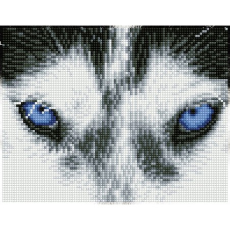 DIAMOND DOTZ® Carré Husky