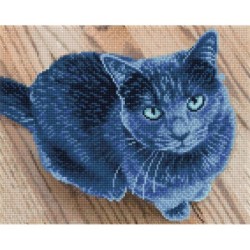 DIAMOND DOTZ® Carré Chat bleu