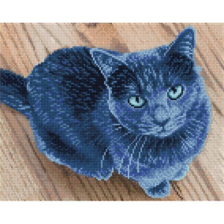 DIAMOND DOTZ® Carré Chat bleu