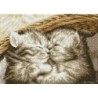 DIAMOND DOTZ® Carré Câlins de chatons - Intermédiaire