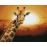 DIAMOND DOTZ® Carré Coucher de soleil au Kenya Parc national d'Amboseli