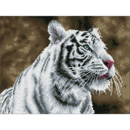DIAMOND DOTZ® Carré Tigre Blanc - Intermédiaire