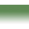 Chameleon Pens GR2 –  Dark Sage