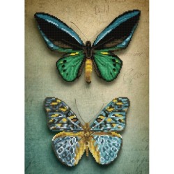 Kit DIAMOND DOTZ® Papillons...