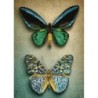 Kit DIAMOND DOTZ® Papillons anciens