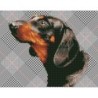 Kit DIAMOND DOTZ® Chien Dachsie