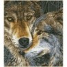 Kit DIAMOND DOTZ® Tendres loups