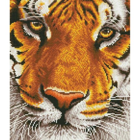 Kit DIAMOND DOTZ® Tigre du Bengale