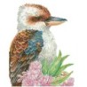 Kit DIAMOND DOTZ® Collection exclusive le Kookaburra, oiseau d'Australie