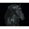 Kit DIAMOND DOTZ® Cheval noir