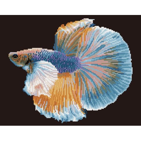 Kit DIAMOND DOTZ® Poisson combattant