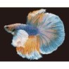 Kit DIAMOND DOTZ® Poisson combattant