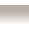 Chameleon Pens WG3 –  Warm Grey 3