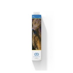 Kit DIAMOND DOTZ® Cheval étoilé