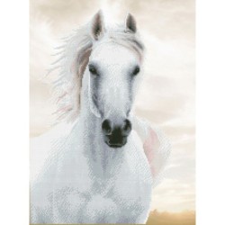 Kit DIAMOND DOTZ® Cheval...