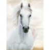 Kit DIAMOND DOTZ® Cheval blanc impérial