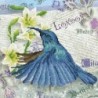 Kit DIAMOND DOTZ® Les voyages du colibri