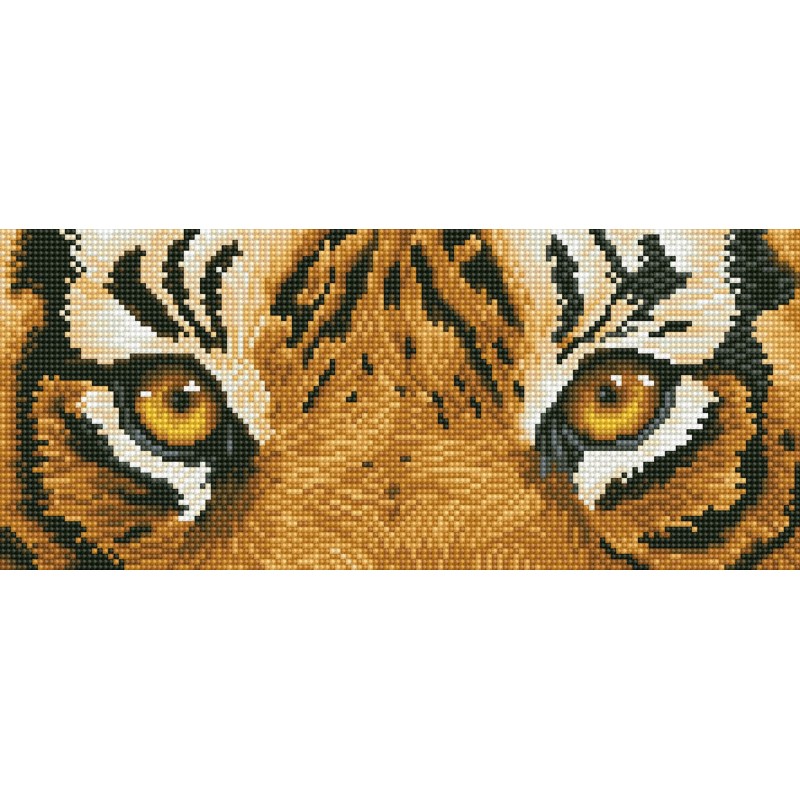 Kit DIAMOND DOTZ® Yeux de tigre