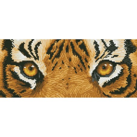 Kit DIAMOND DOTZ® Yeux de tigre