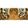 Kit DIAMOND DOTZ® Yeux de tigre