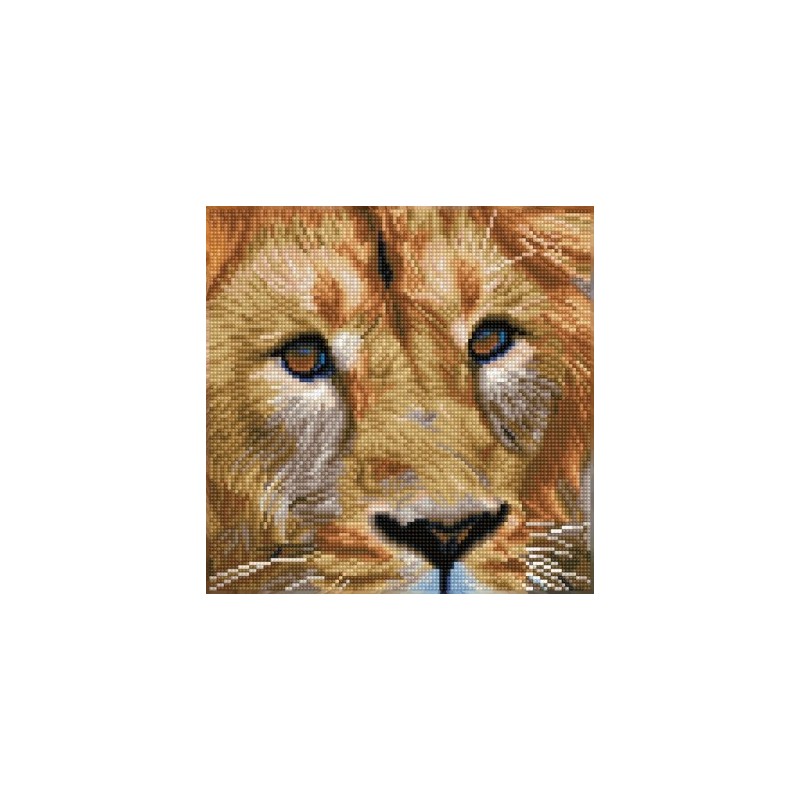 Kit DIAMOND DOTZ® Portrait de Lion