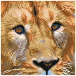 Kit DIAMOND DOTZ® Portrait de Lion
