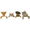 Kit DIAMOND DOTZ® Chats et chiens sur tronc d'arbre